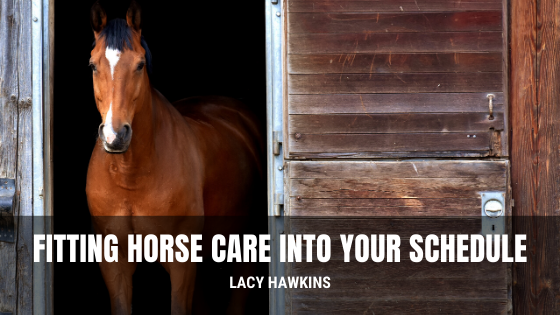 Fitting Horse Care Into Your Schedule