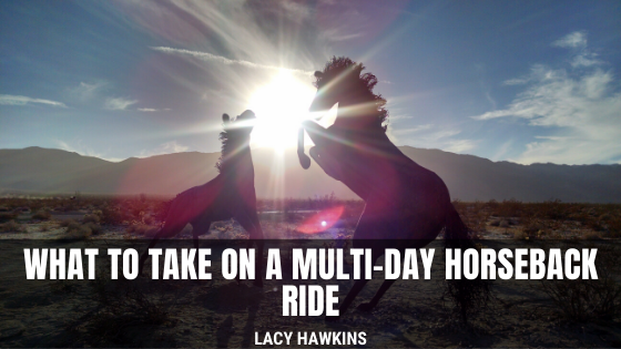 What to Take on a Multi-Day Horseback Ride