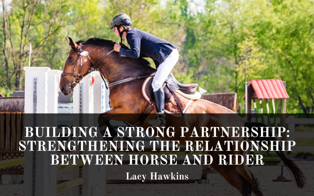 Building a Strong Partnership: Strengthening the Relationship Between Horse and Rider
