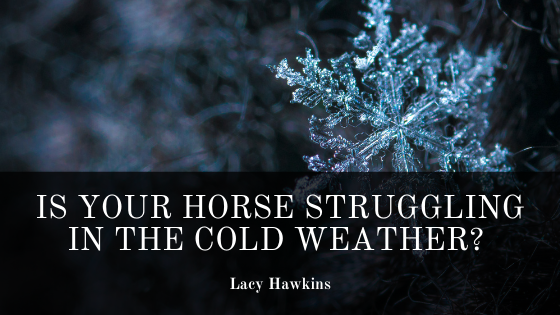 Is Your Horse Struggling in the Cold Weather?