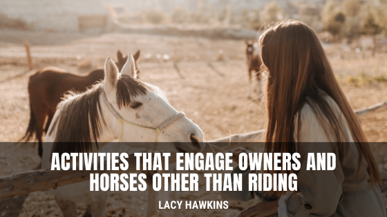 Activities That Engage Owners and Horses Other Than Riding