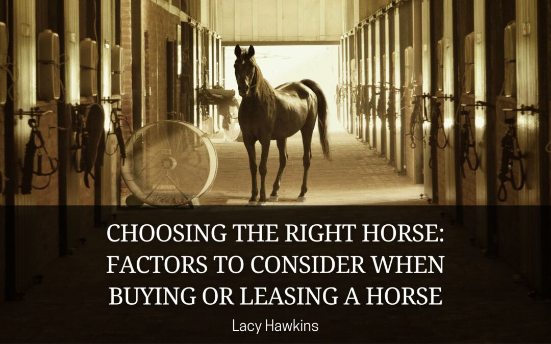 Choosing the Right Horse: Factors to Consider When Buying or Leasing a Horse