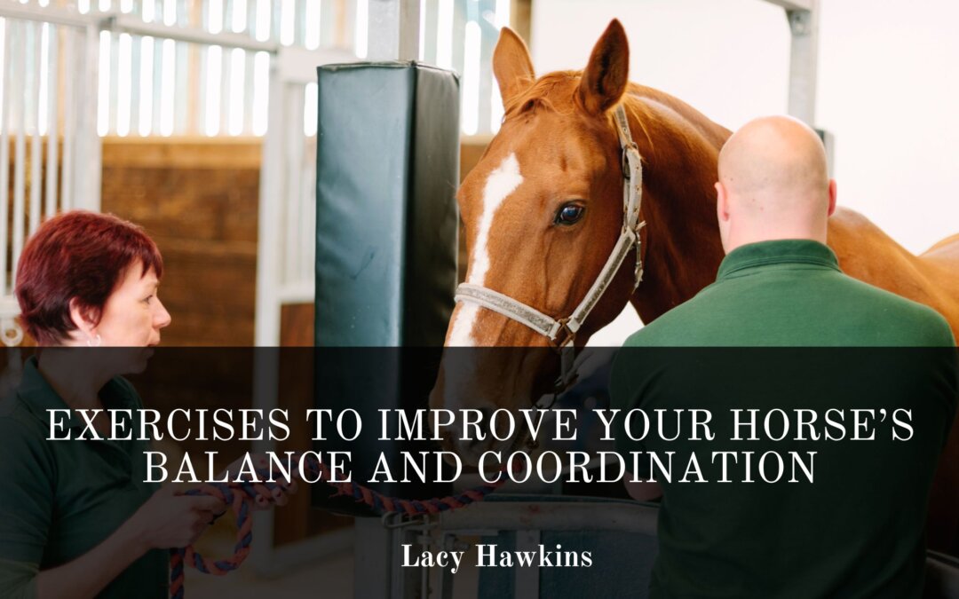 Exercises to Improve Your Horse’s Balance and Coordination