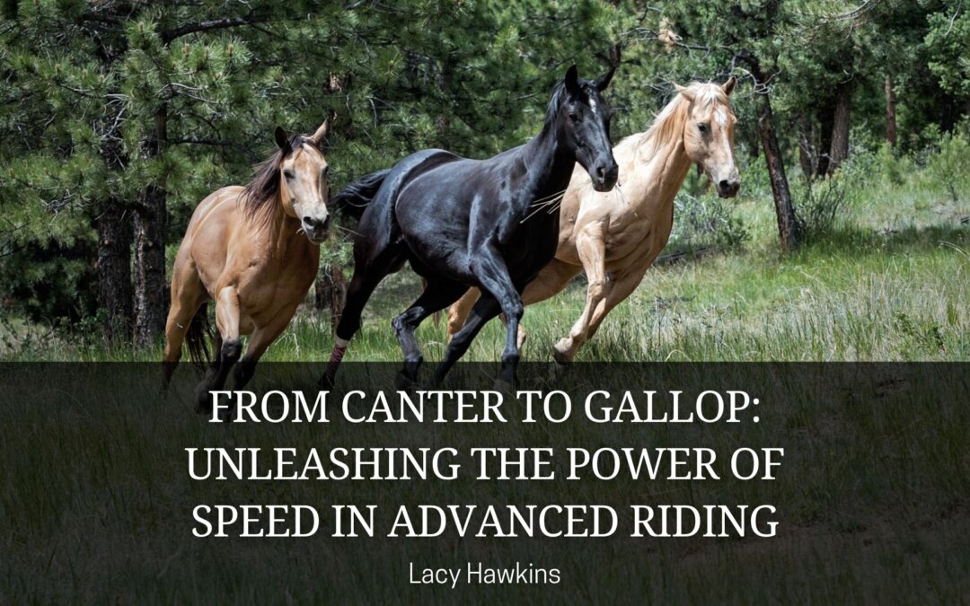From Canter to Gallop: Unleashing the Power of Speed in Advanced Riding