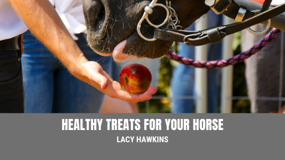 Healthy Treats for Your Horse