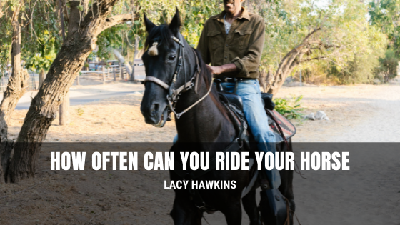 How Often Can You Ride Your Horse