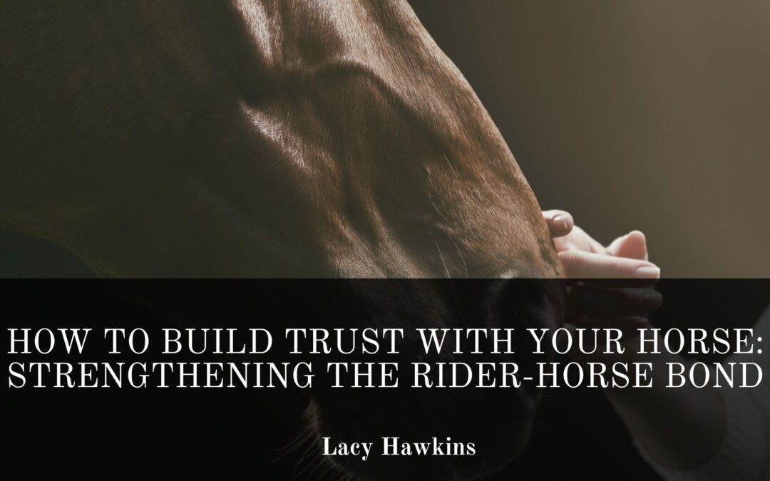 How to Build Trust with Your Horse: Strengthening the Rider-Horse Bond