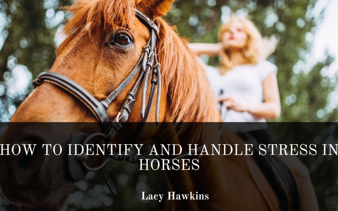 How to Identify and Handle Stress in Horses