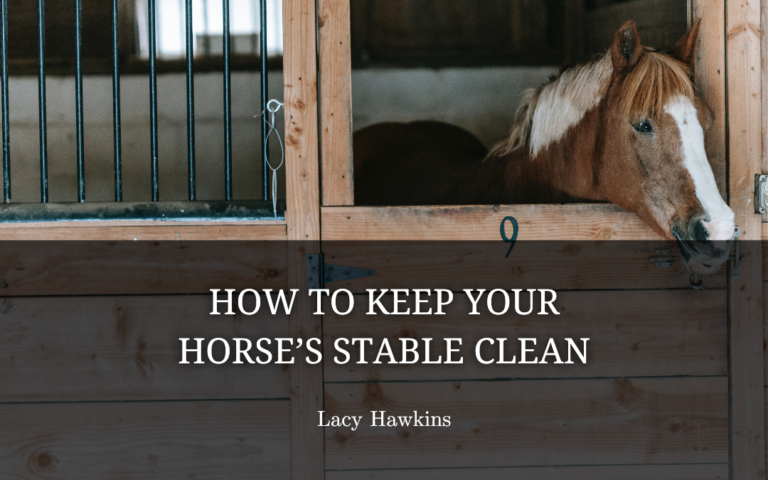 How to Keep Your Horse’s Stable Clean