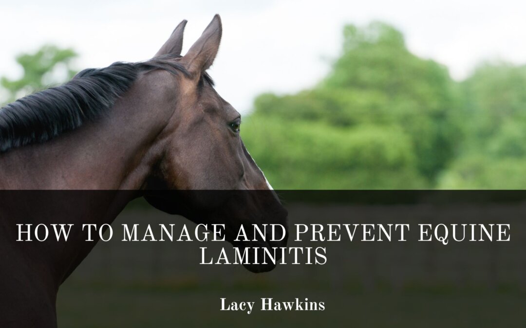 How to Manage and Prevent Equine Laminitis