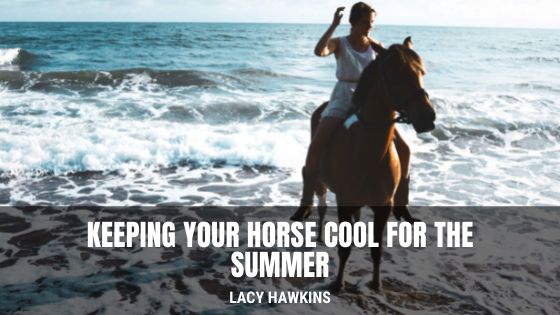Keeping Your Horse Cool For The Summer Lacy Hawkins