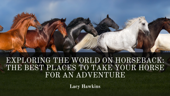 Exploring the World on Horseback: The Best Places to Take Your Horse for an Adventure