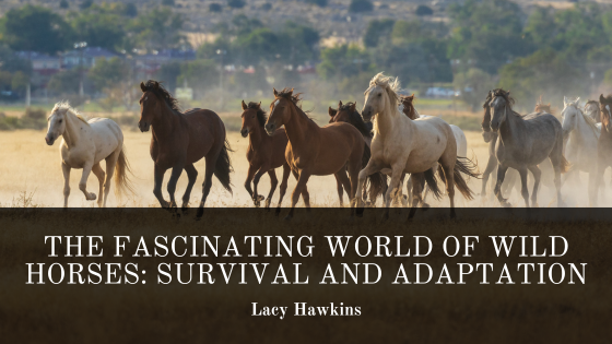 The Fascinating World of Wild Horses: Survival and Adaptation