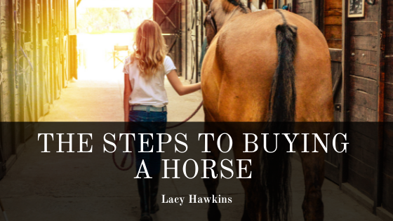 Lacy Hawkins Buying Horse