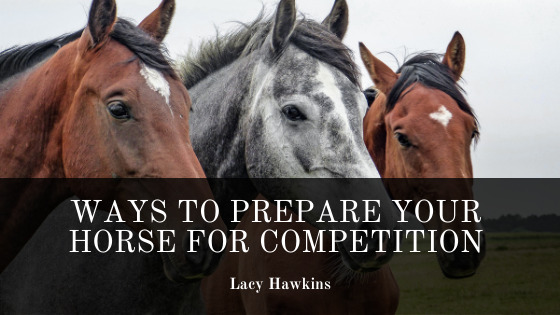 Lacy Hawkins Horse Competition