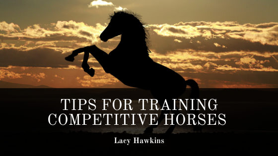 Lacy Hawkins Training Horses