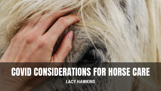 COVID Considerations for Horse Care