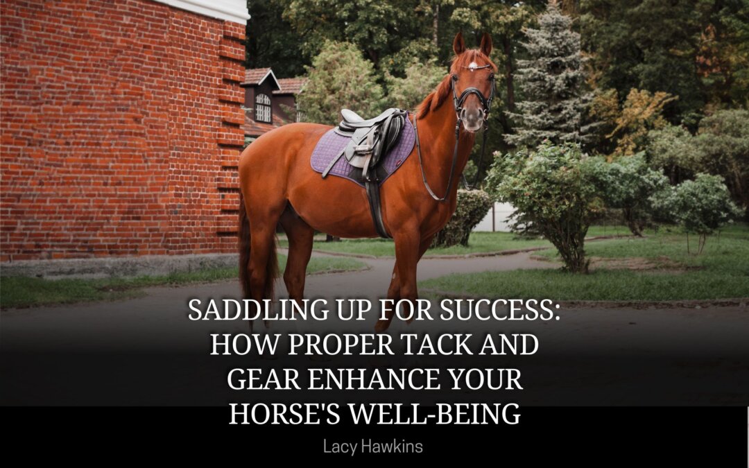 Saddling Up for Success: How Proper Tack and Gear Enhance Your Horse’s Well-Being