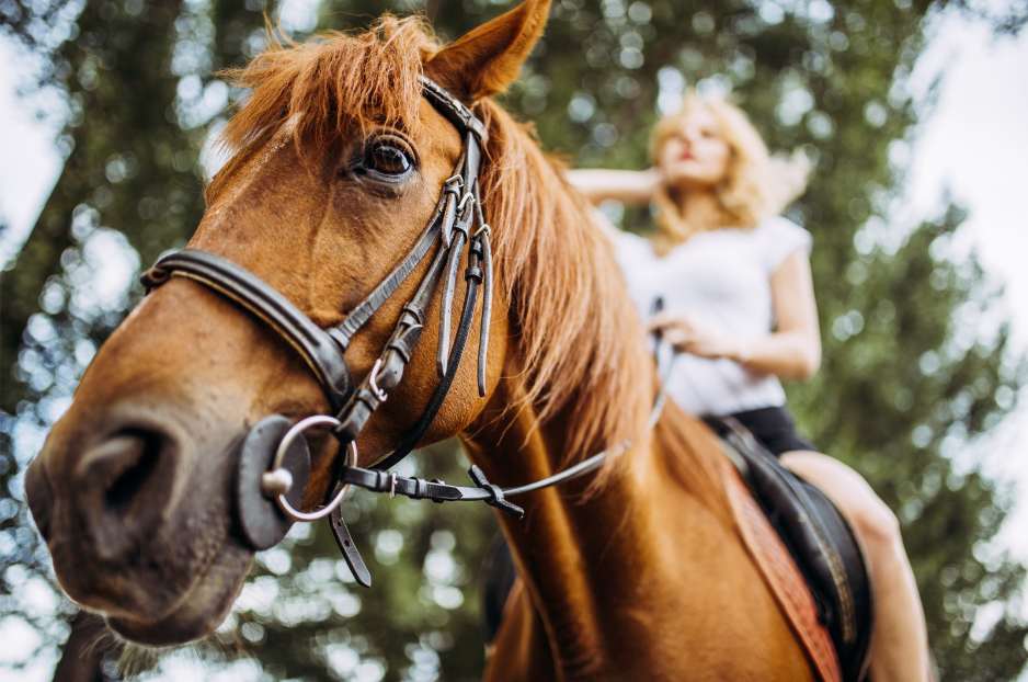 The Benefits Of Horseback Riding