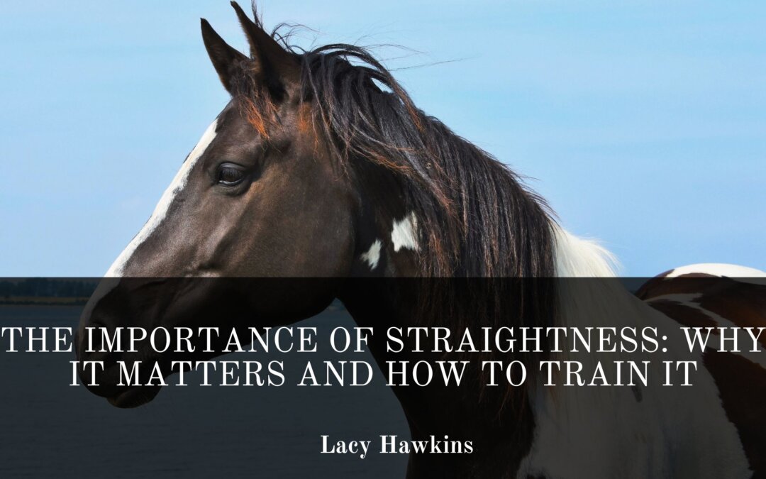 The Importance of Straightness: Why It Matters and How to Train It