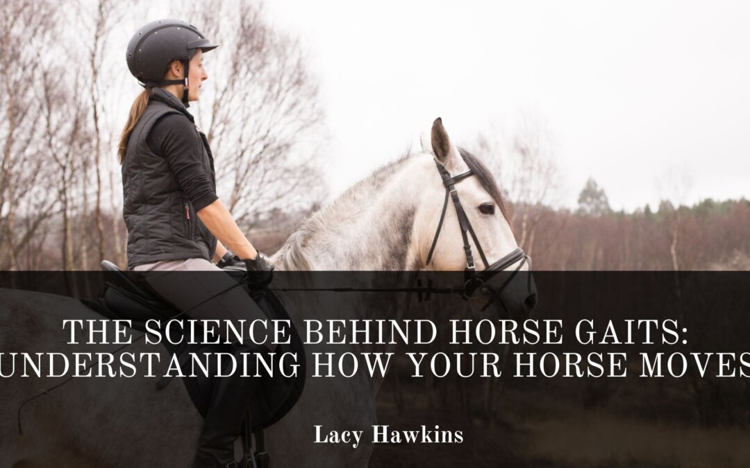 The Science Behind Horse Gaits: Understanding How Your Horse Moves