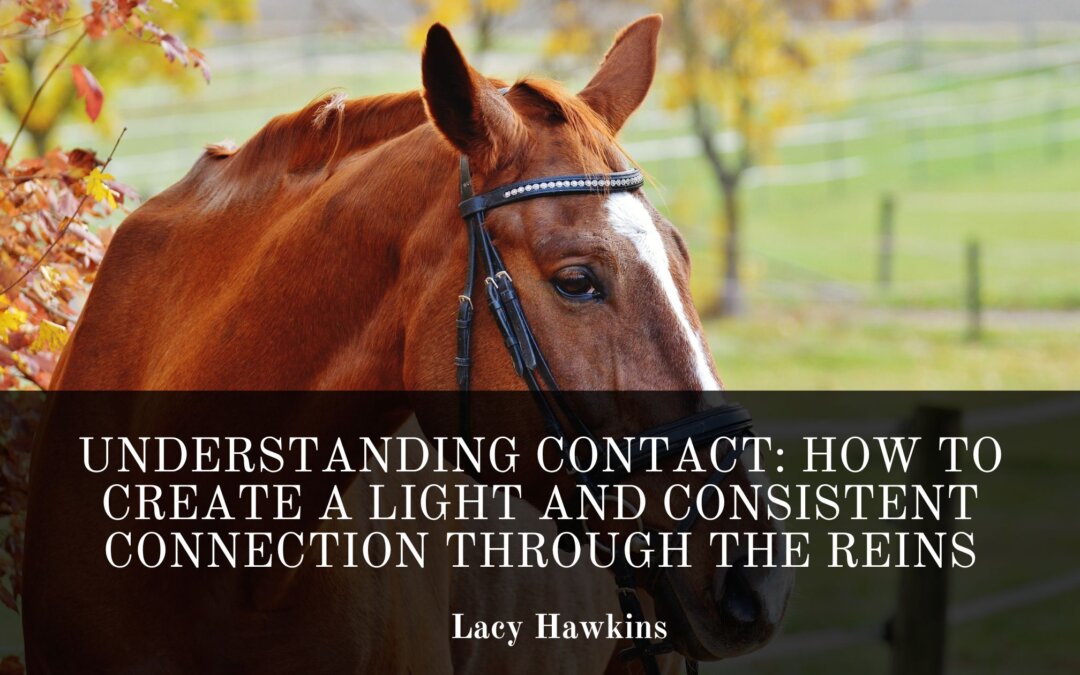 Understanding Contact: How to Create a Light and Consistent Connection Through the Reins