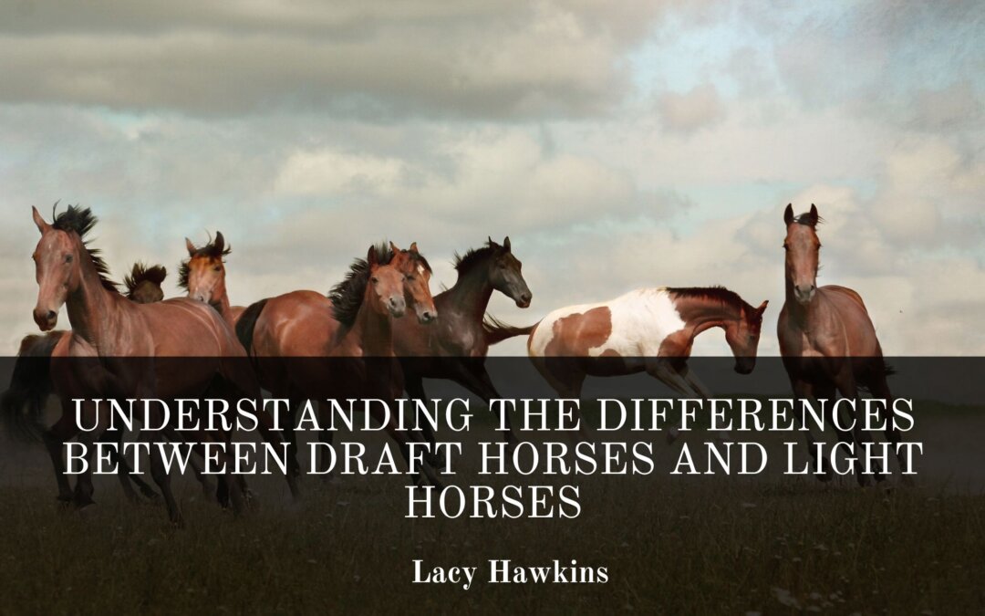 Draft Horses